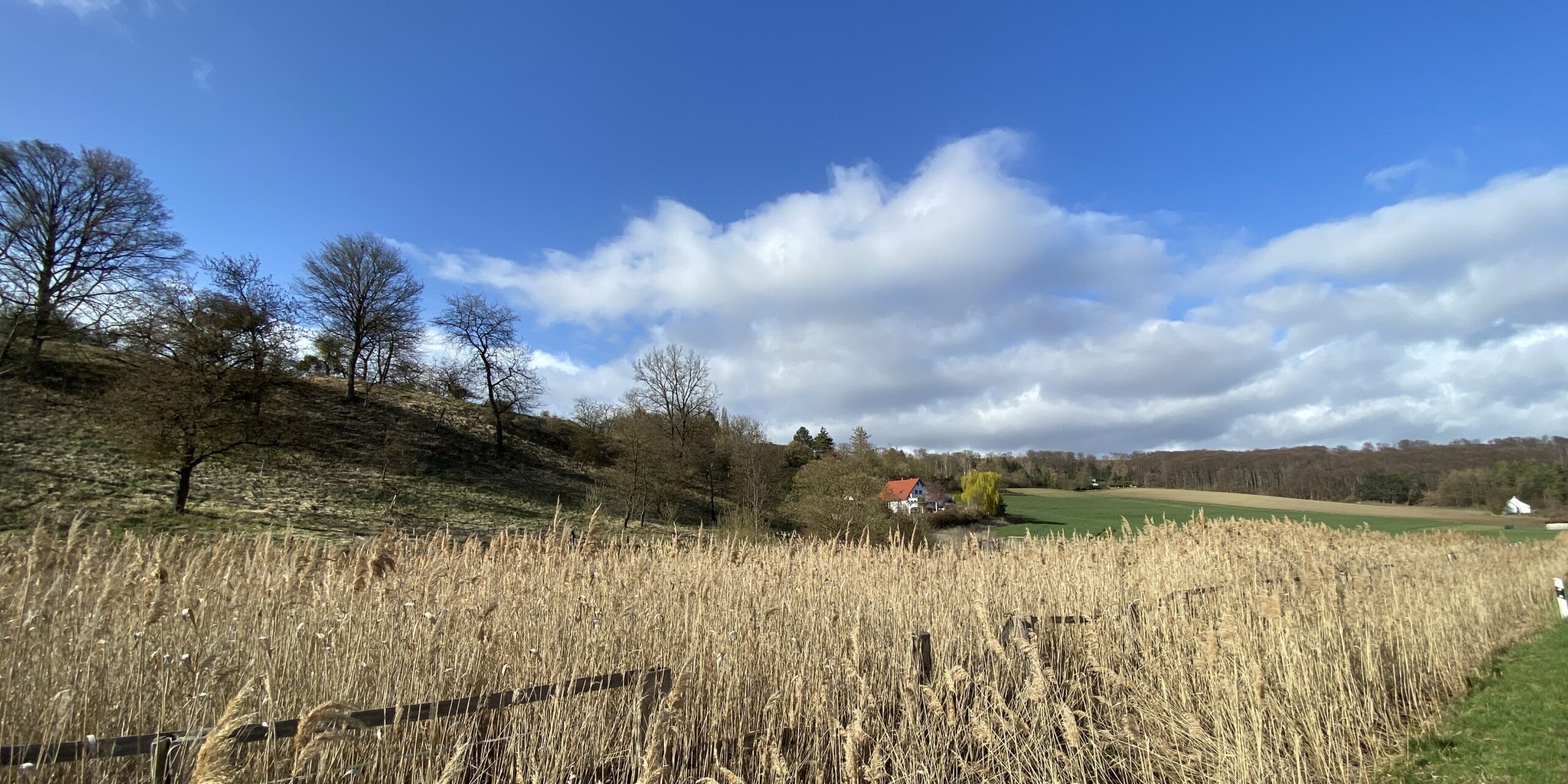 Slider Image 1