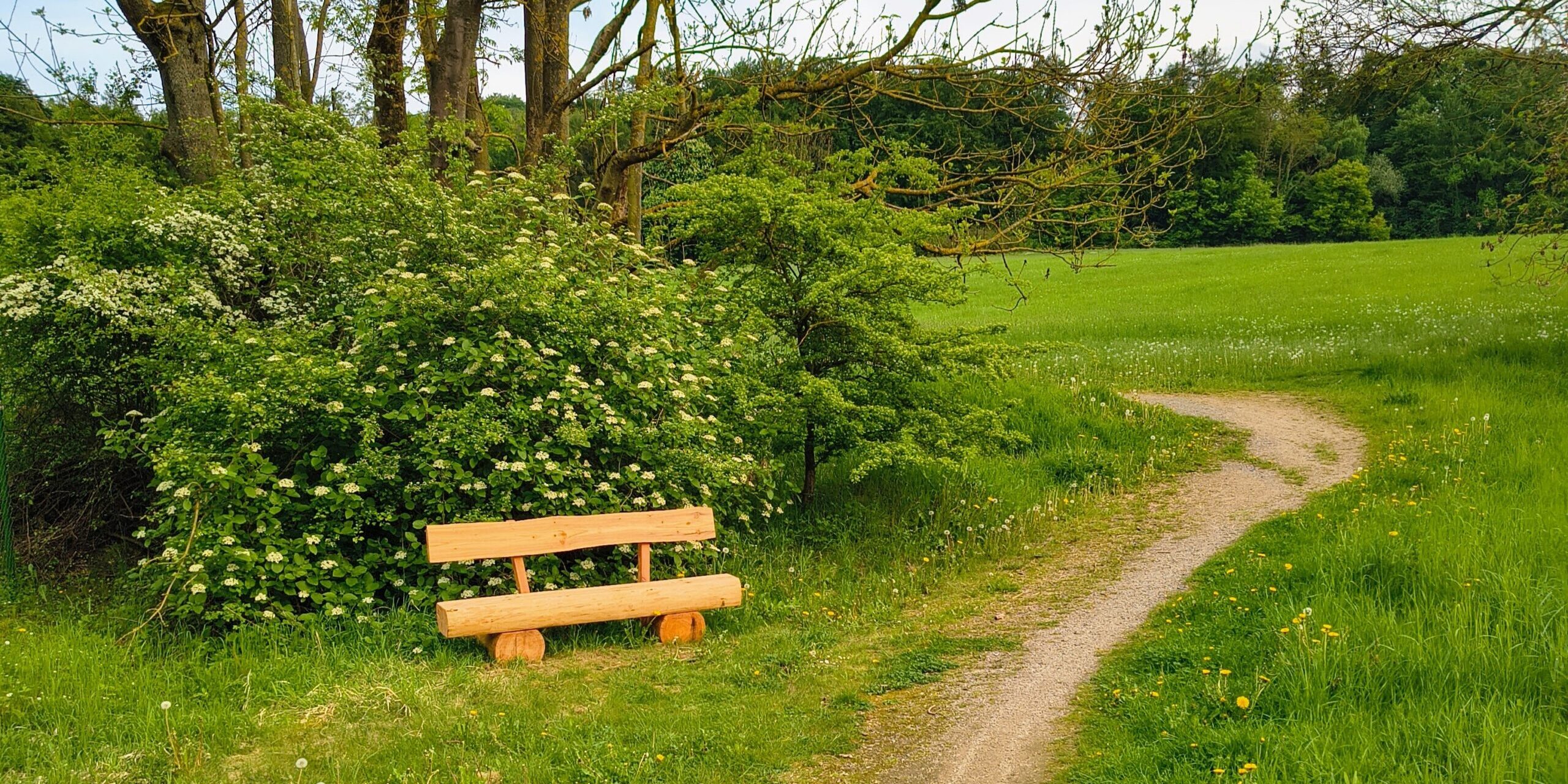 Slider Image 4