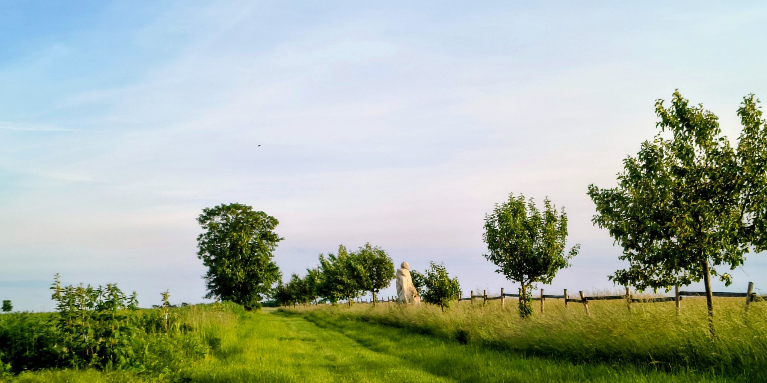 Slider Image 12