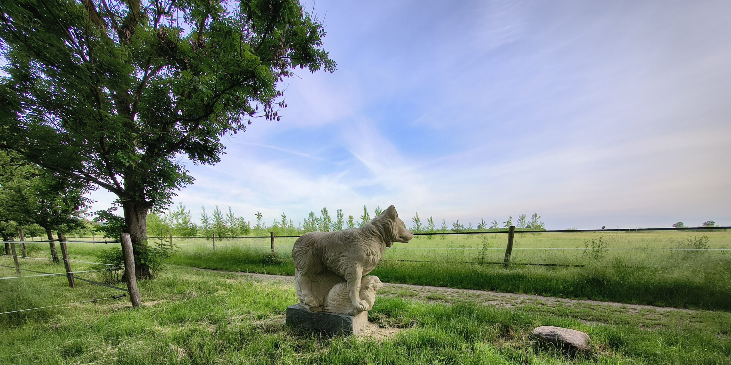Slider Image 13