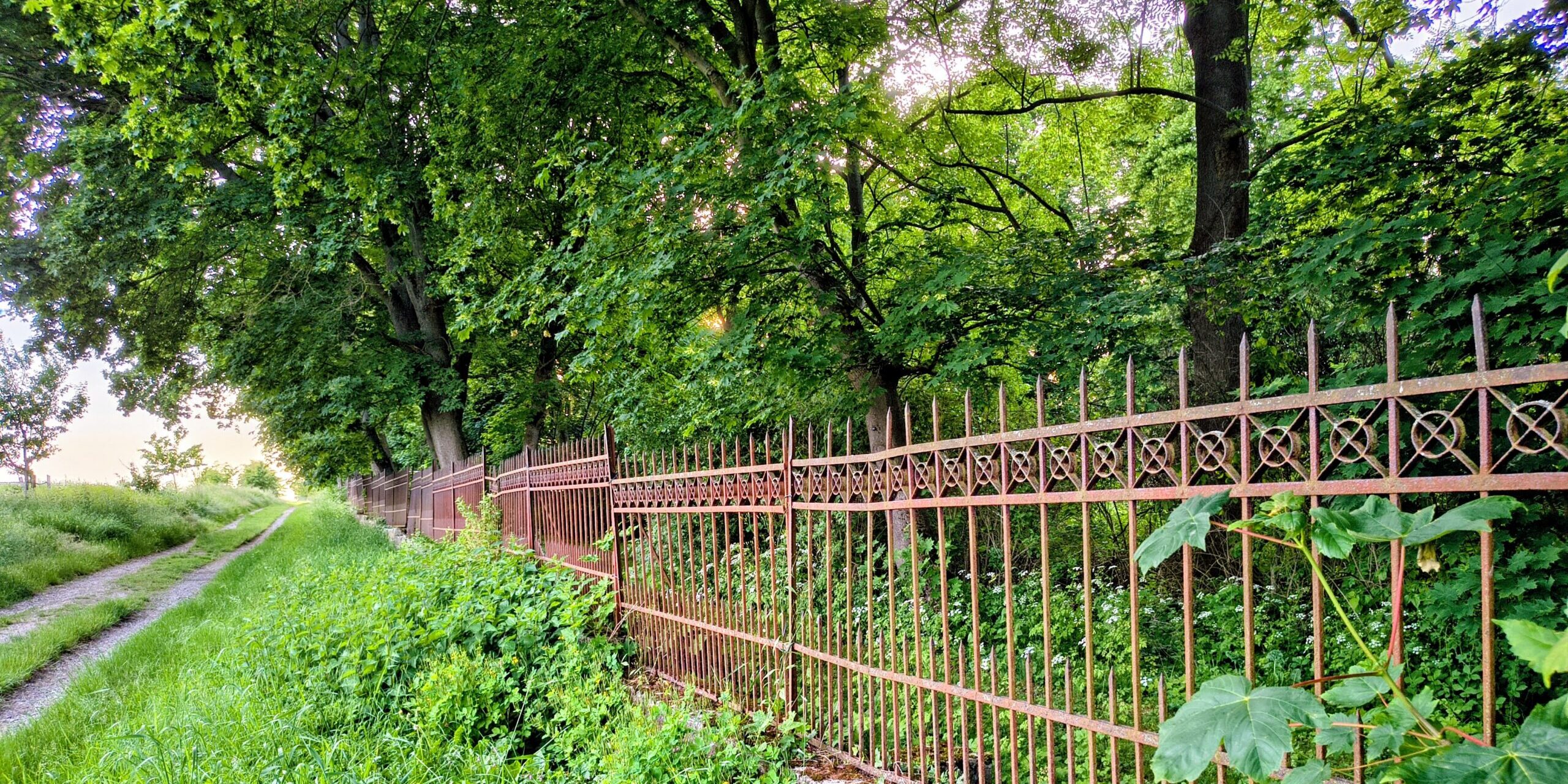 Slider Image 14