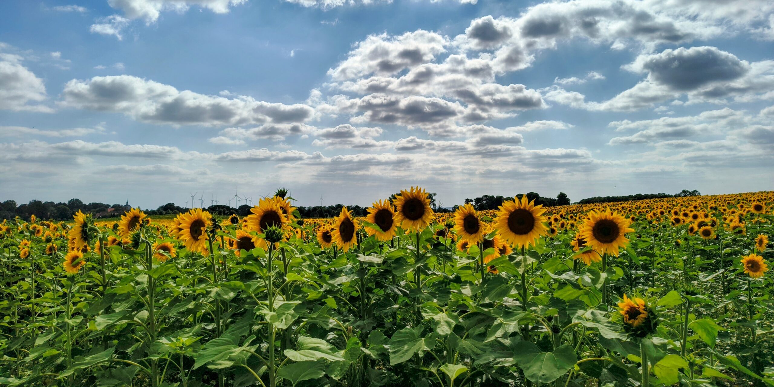 Slider Image 18