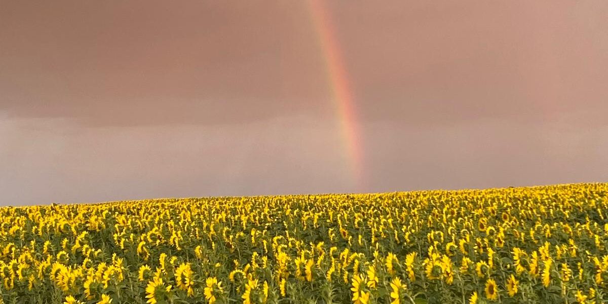 Slider Image 14